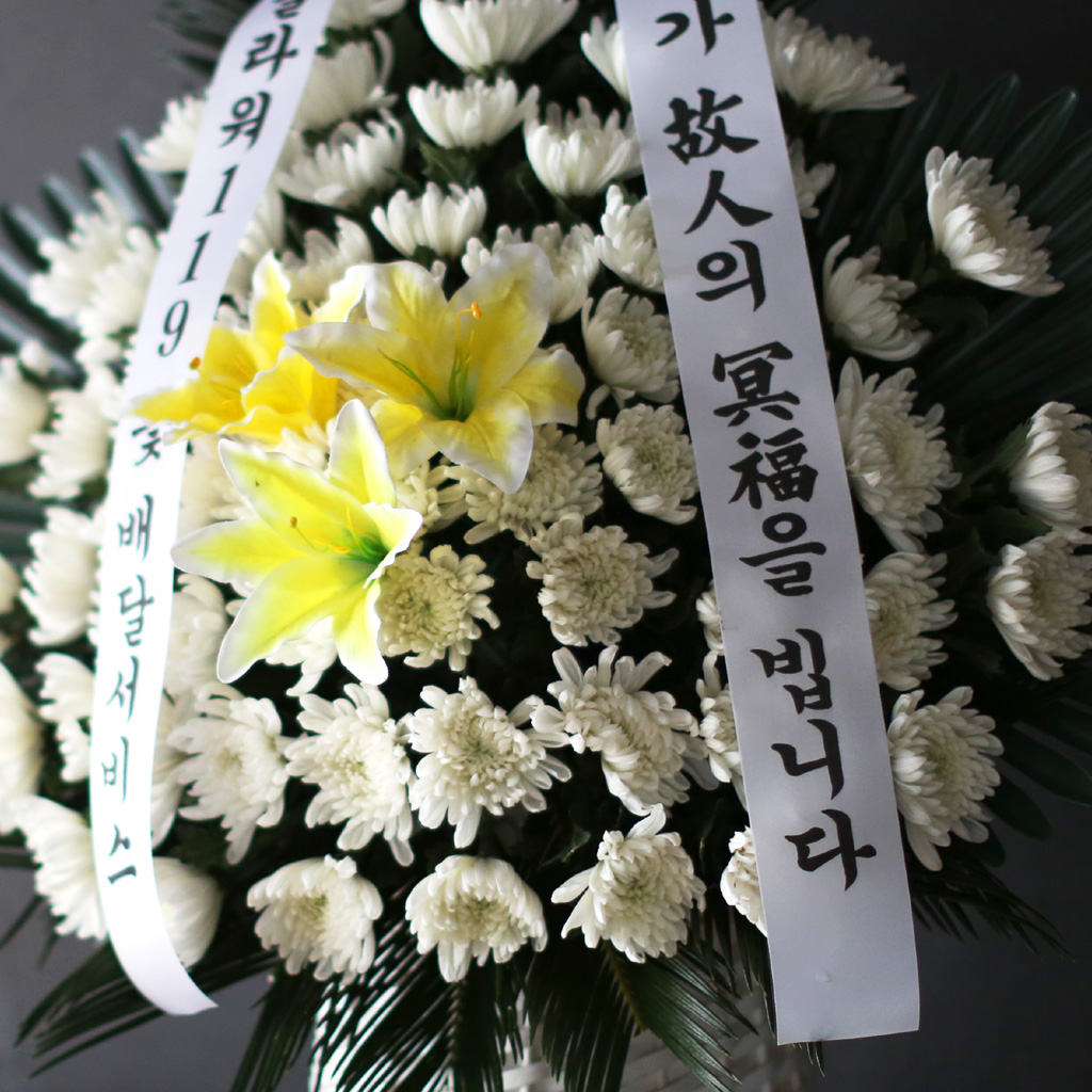 Á¦´ÜÀå½Ä¿ë ¹Ù±¸´Ï - ±ÙÁ¶¿µÁ¤¹Ù±¸´Ï (ÀϹÝ) ²ÉÁý ²É¹è´Þ