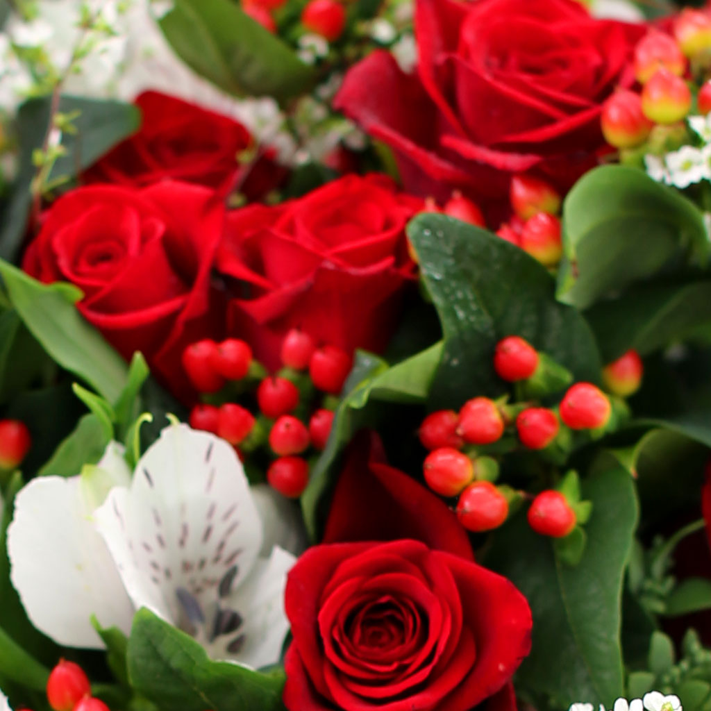 Spring loves Spring red roses
