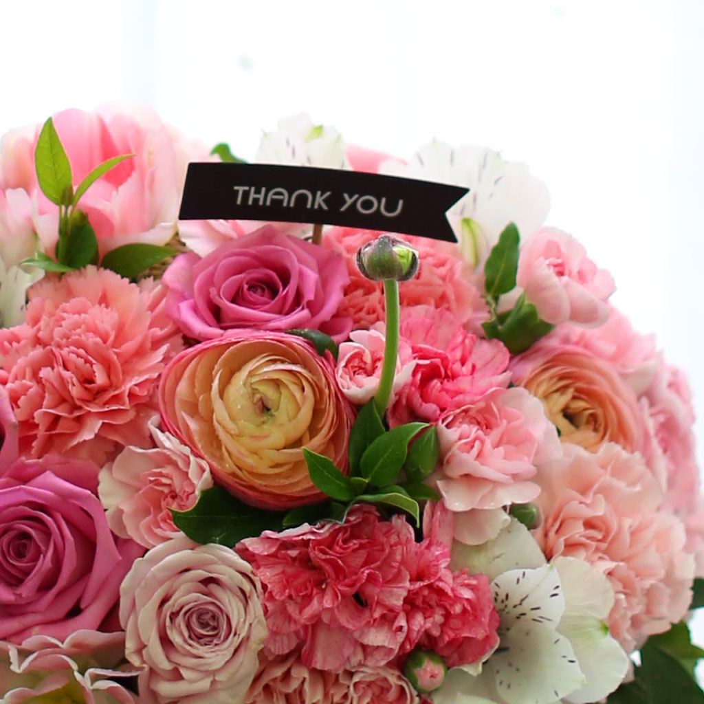 Spring loves Dear my parents (*Ϻ ٱ  ɼ )