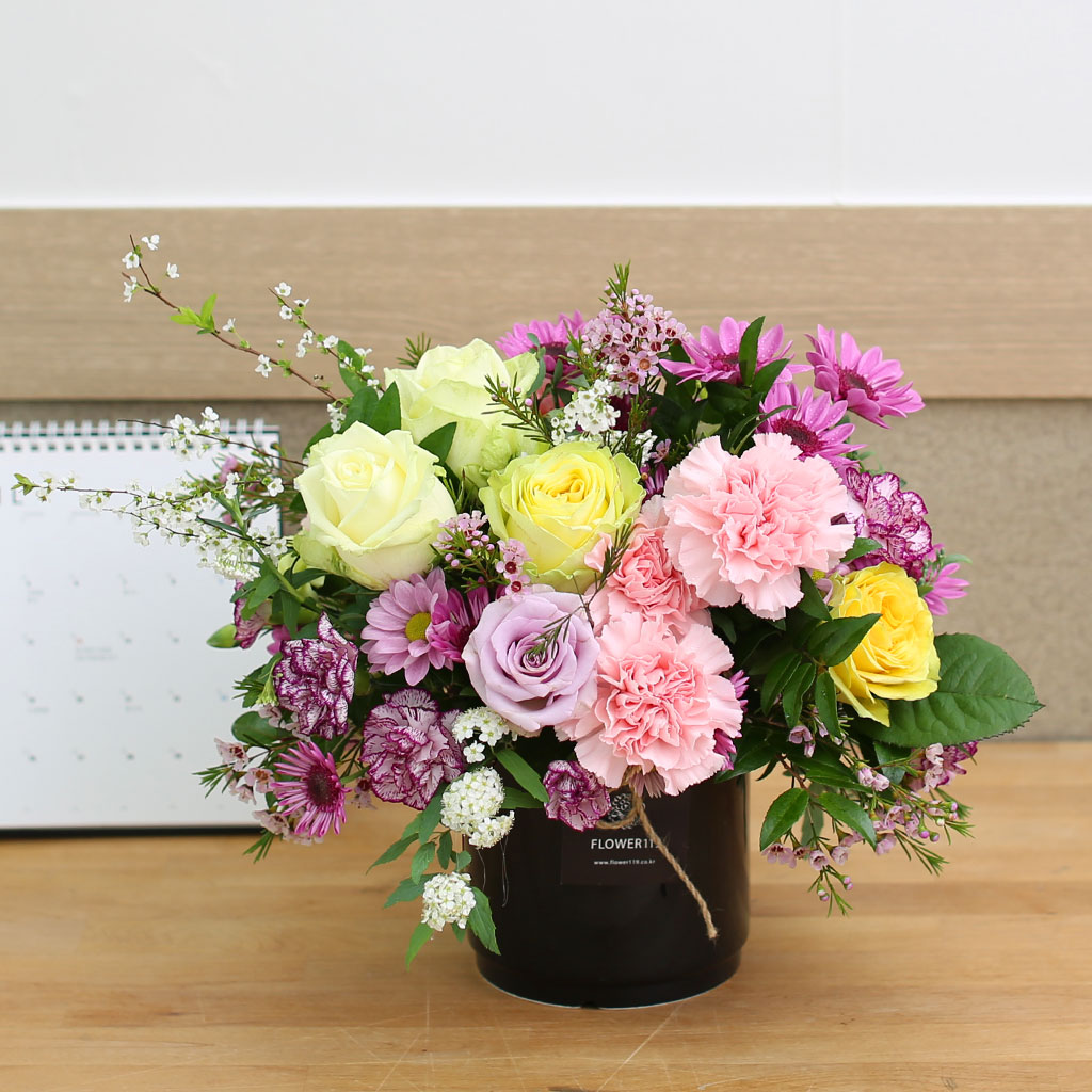 Spring loves Dear Daddy  ɹ