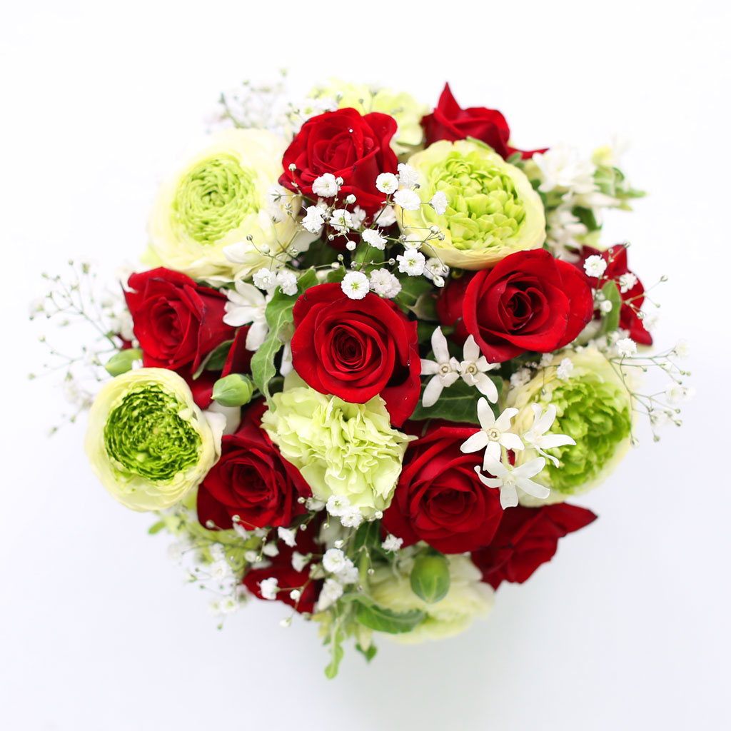 Spring loves All my loving