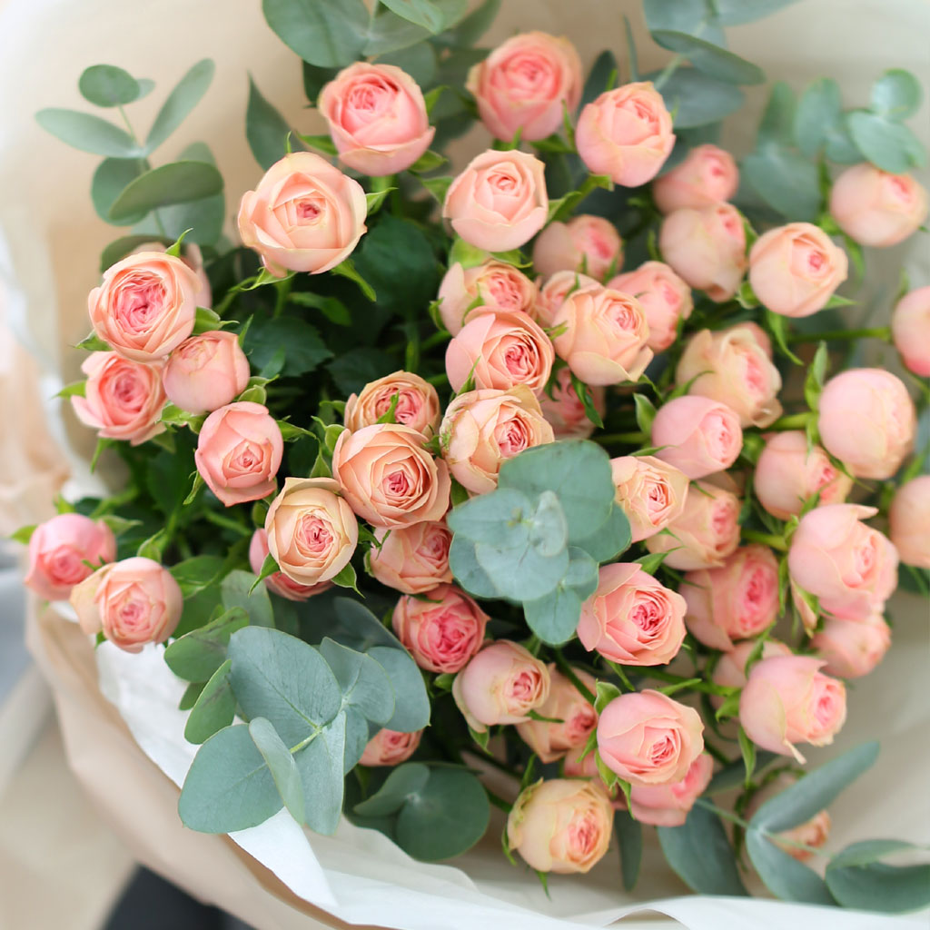 [/ǹ]Spring loves Baby pink