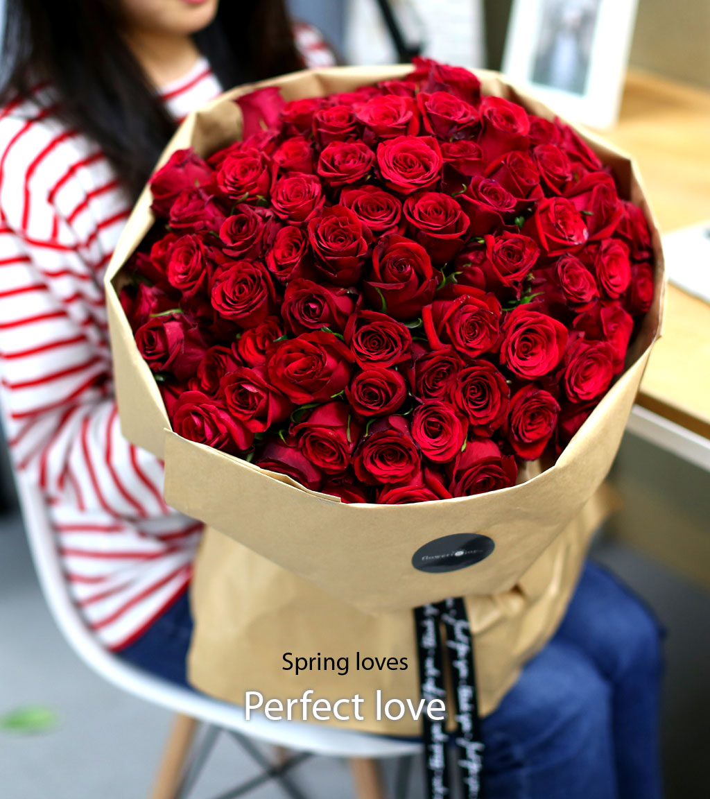 [100][]Spring loves Perfect love  ɹ