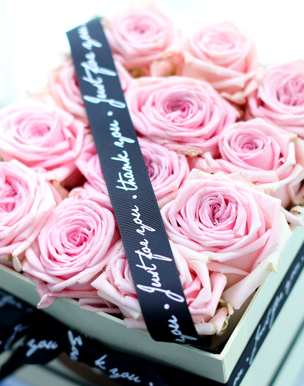 Spring loves Simple pink roses  ɹ