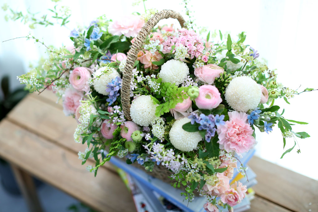 [/ǹ]Spring loves -    ɹ