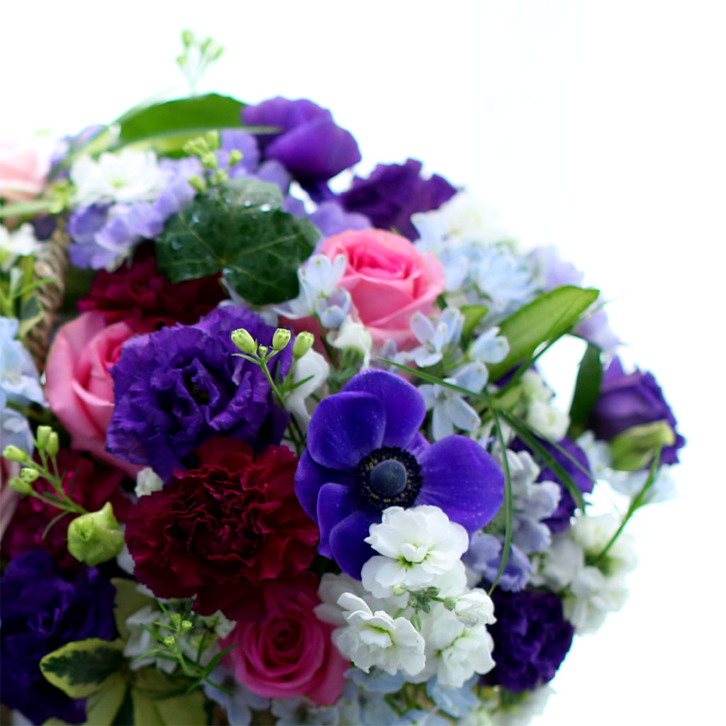 Spring loves   ״  ɹ