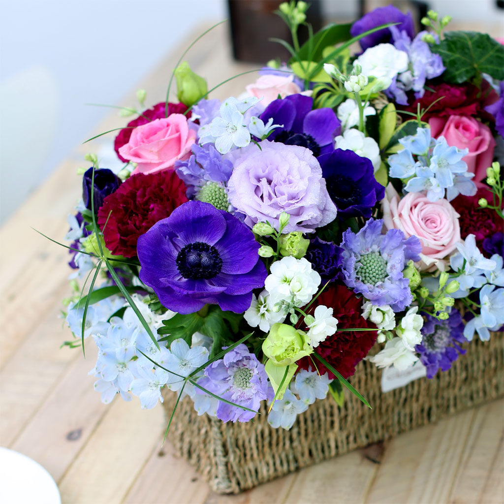 Spring loves   ״  ɹ