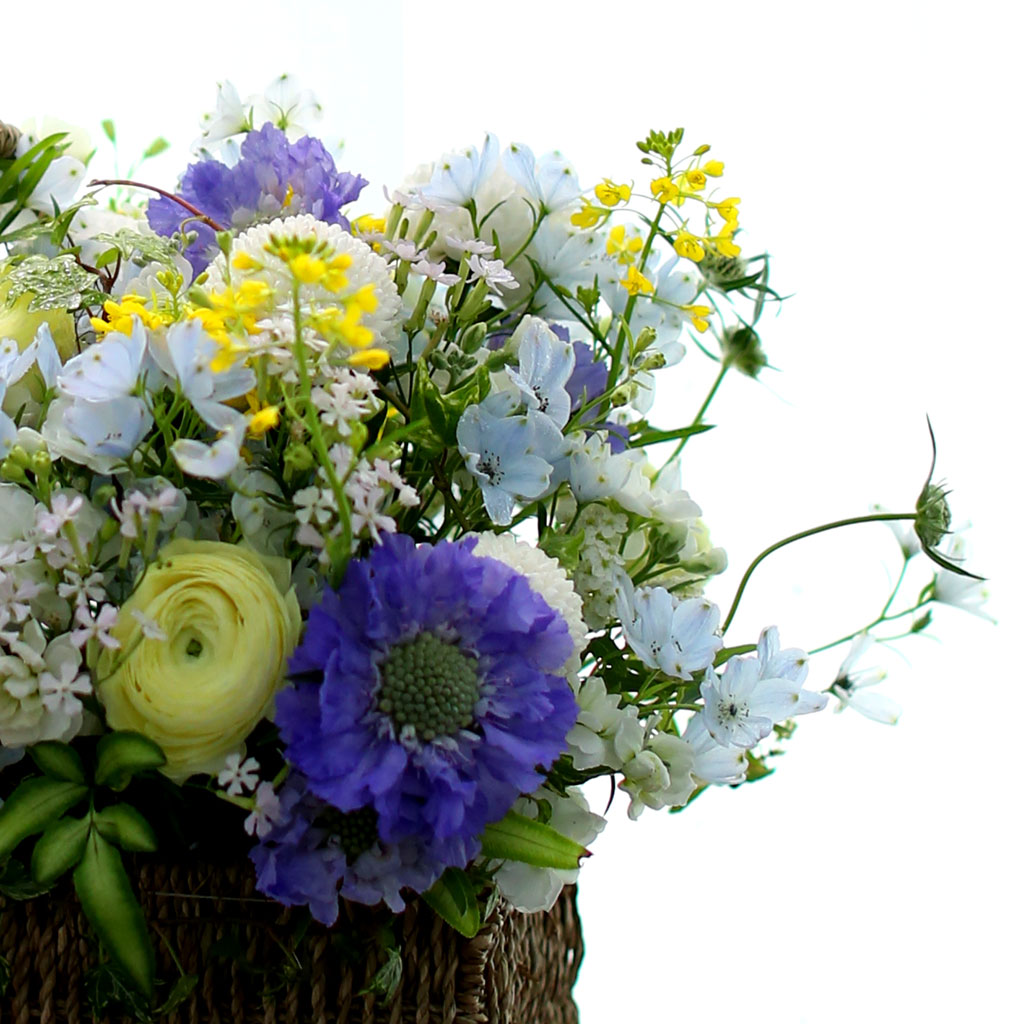 Spring loves ó    ɹ