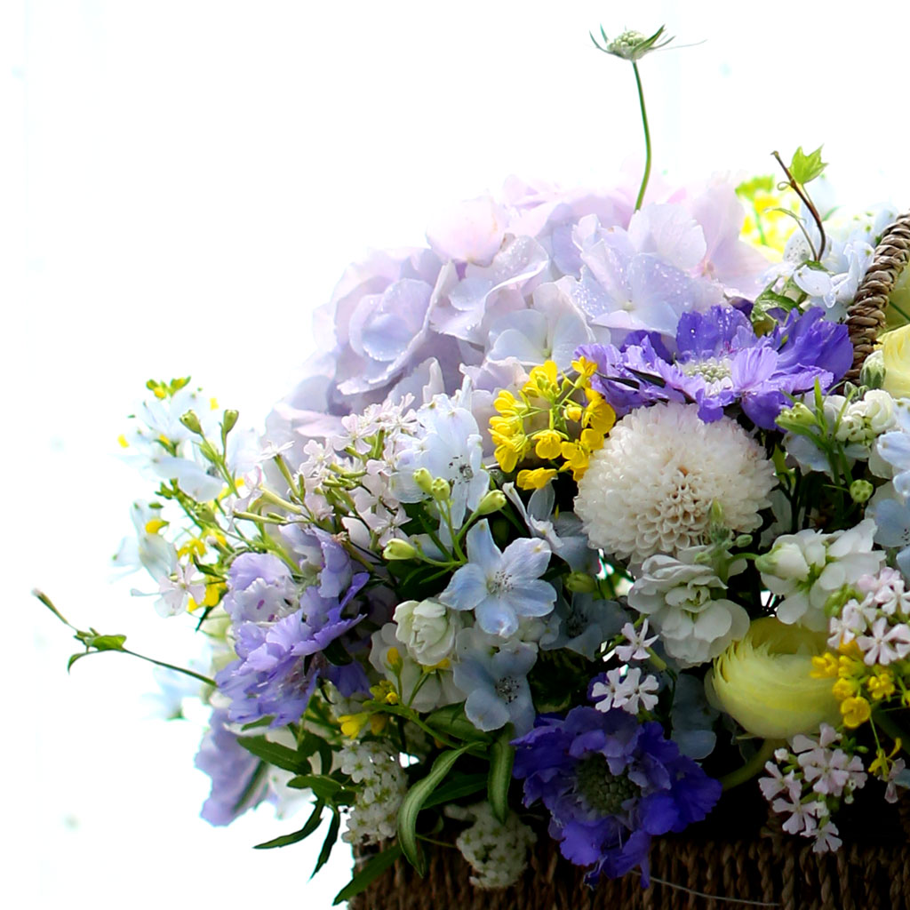 Spring loves ó    ɹ