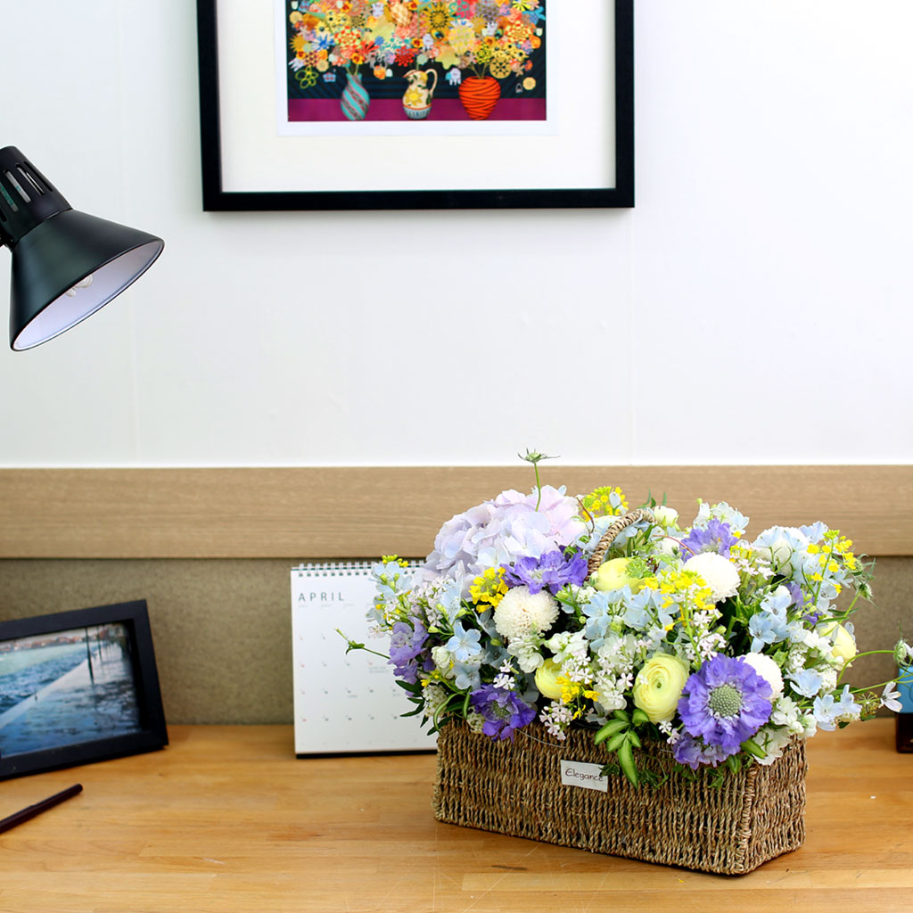 Spring loves ó    ɹ