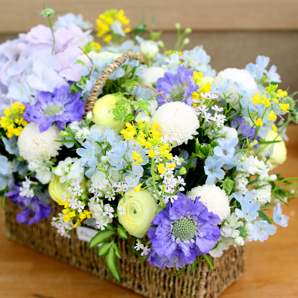 Spring loves ó    ɹ