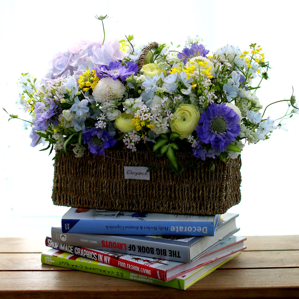 Spring loves ó    ɹ