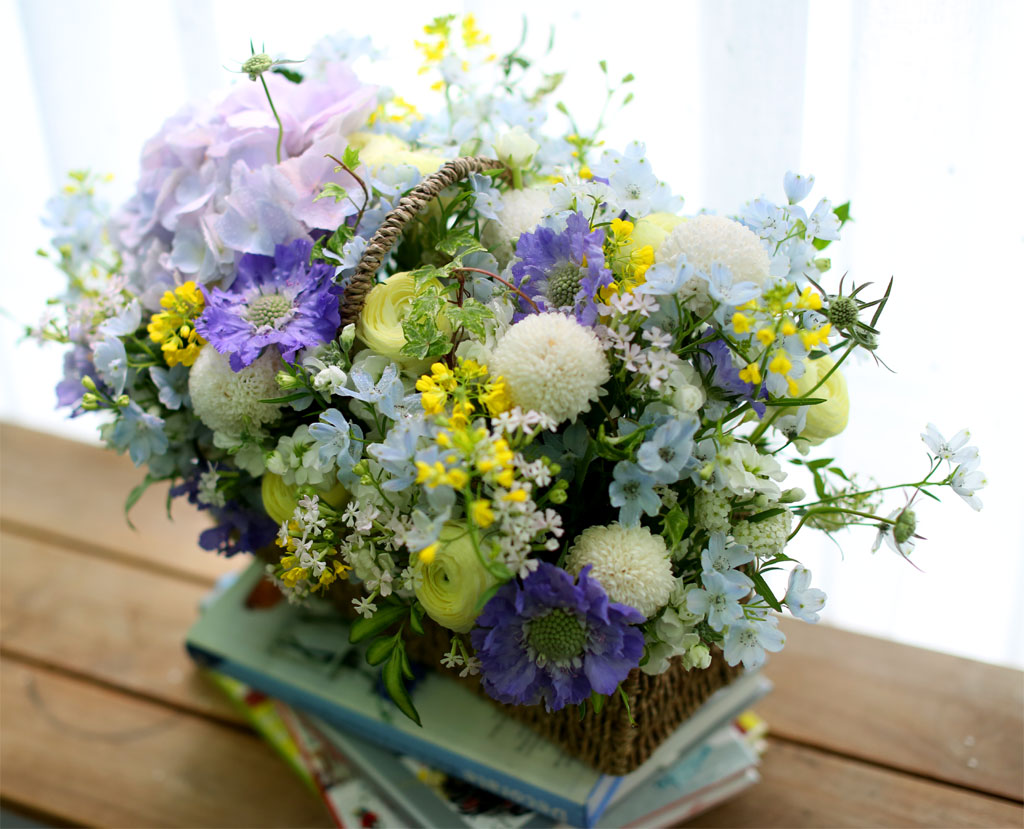 Spring loves ó    ɹ