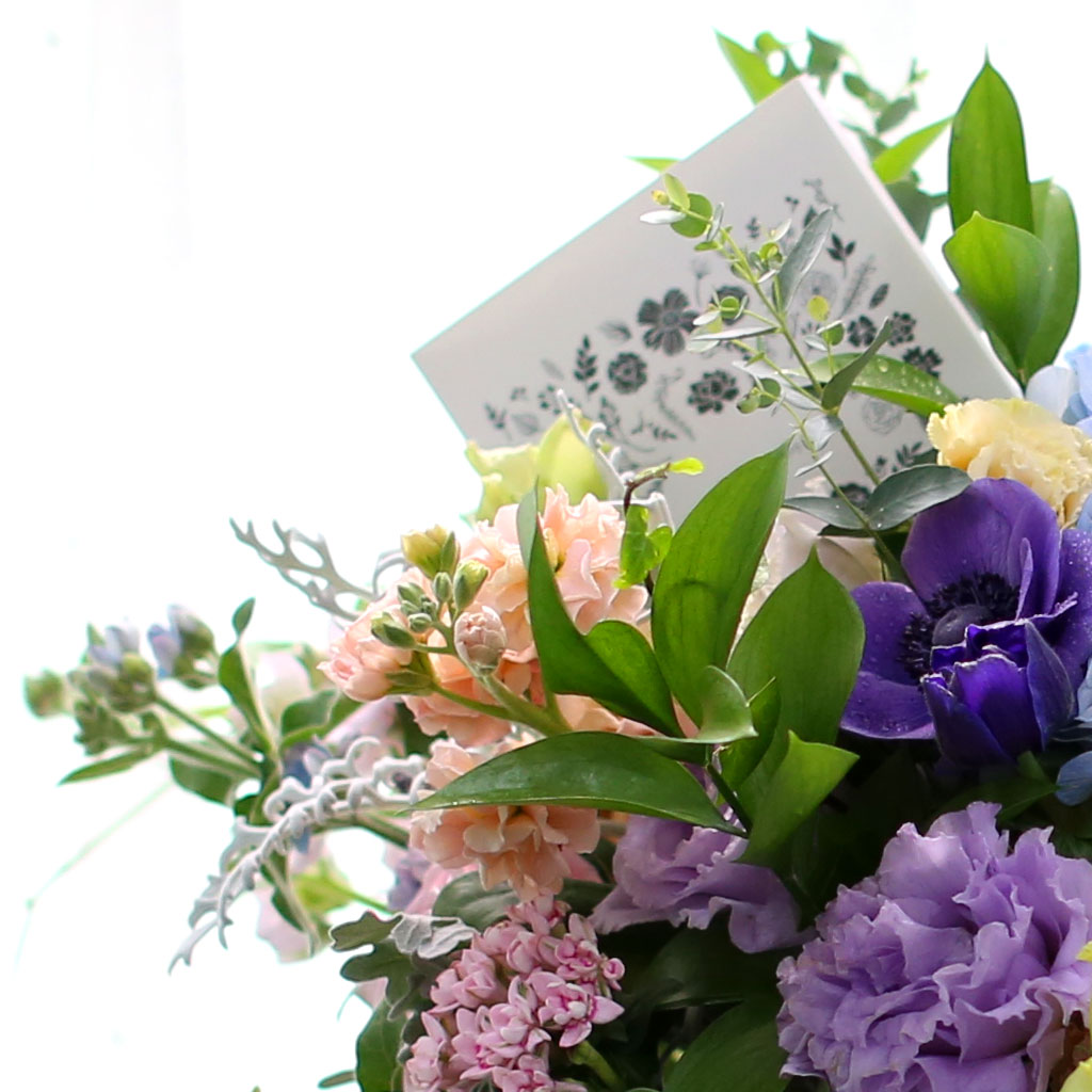 [/ǹ]Spring loves ູ