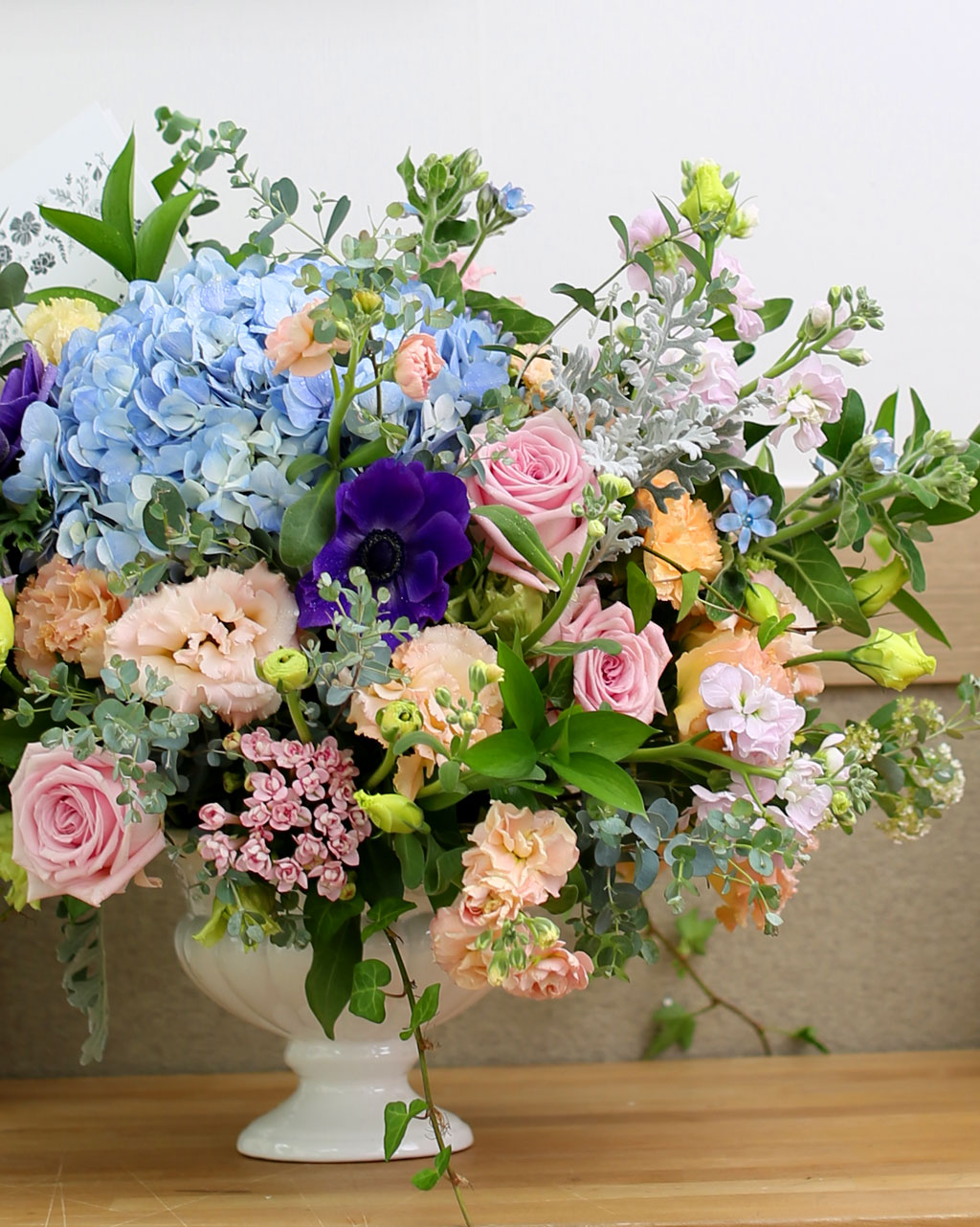 [/ǹ]Spring loves ູ