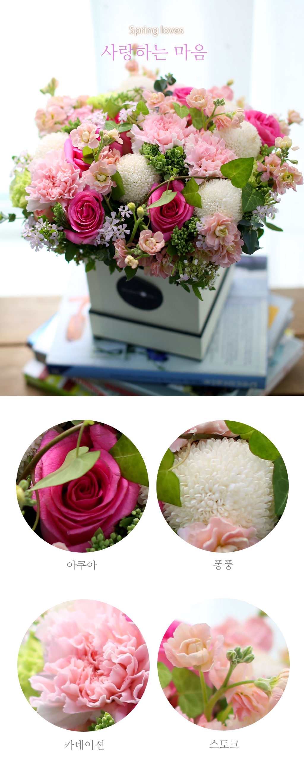 Spring loves ϴ  (** ٸ ڽ ȭ ü))  ɹ