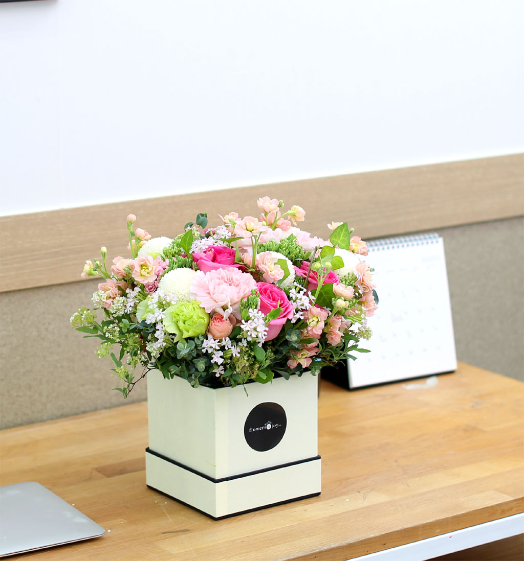 Spring loves ϴ  (** ٸ ڽ ȭ ü))  ɹ