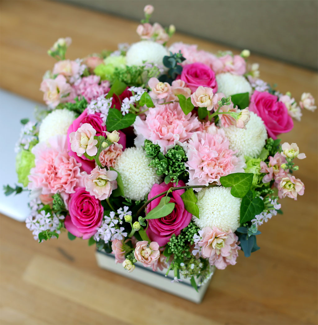 Spring loves ϴ  (** ٸ ڽ ȭ ü))  ɹ