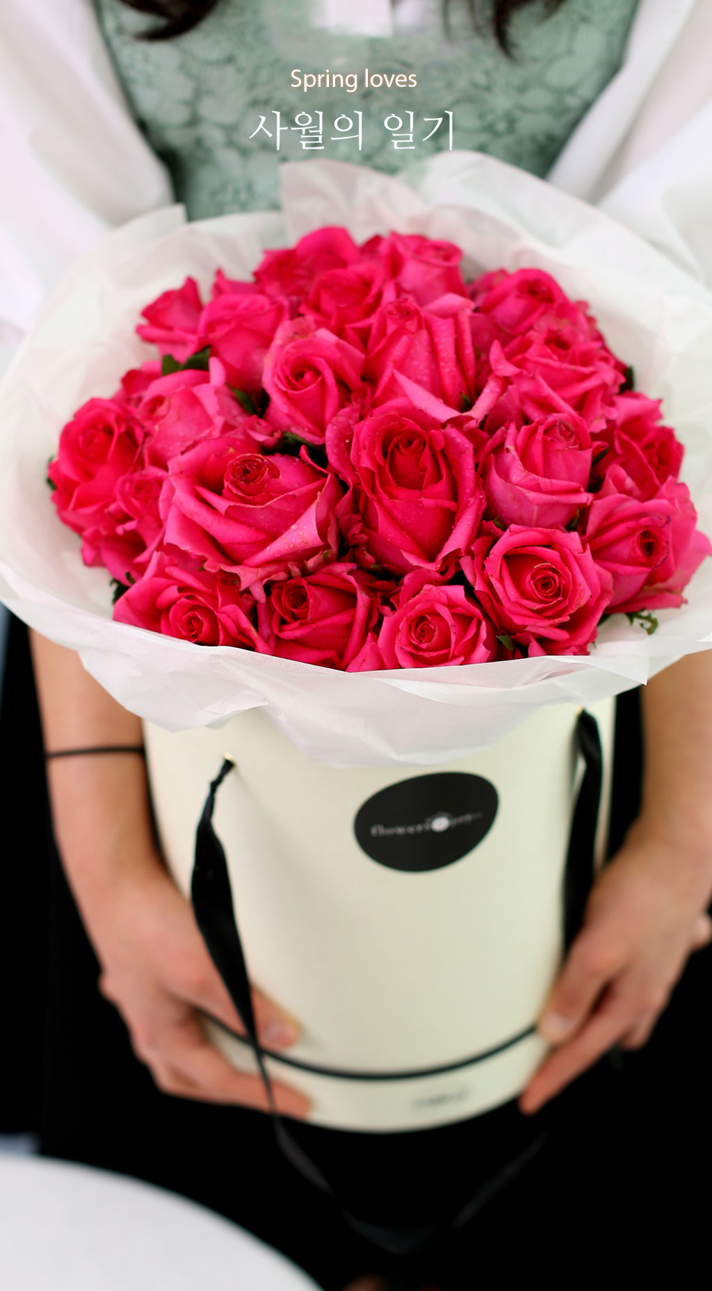 Spring loves  ϱ  ɹ