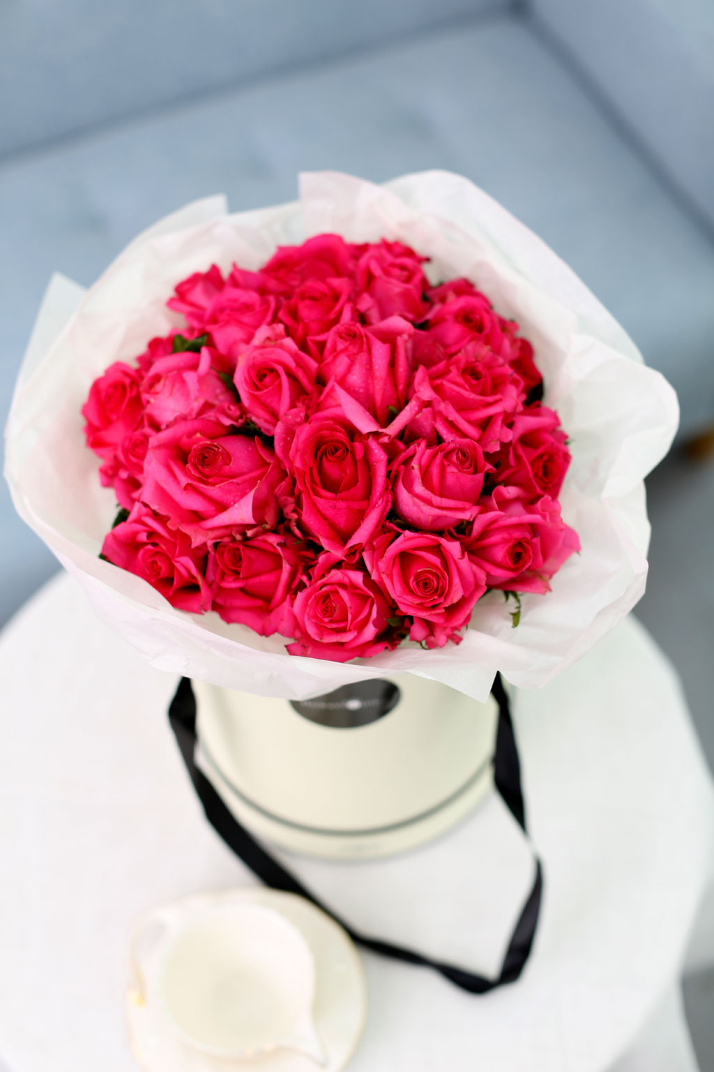 Spring loves  ϱ  ɹ