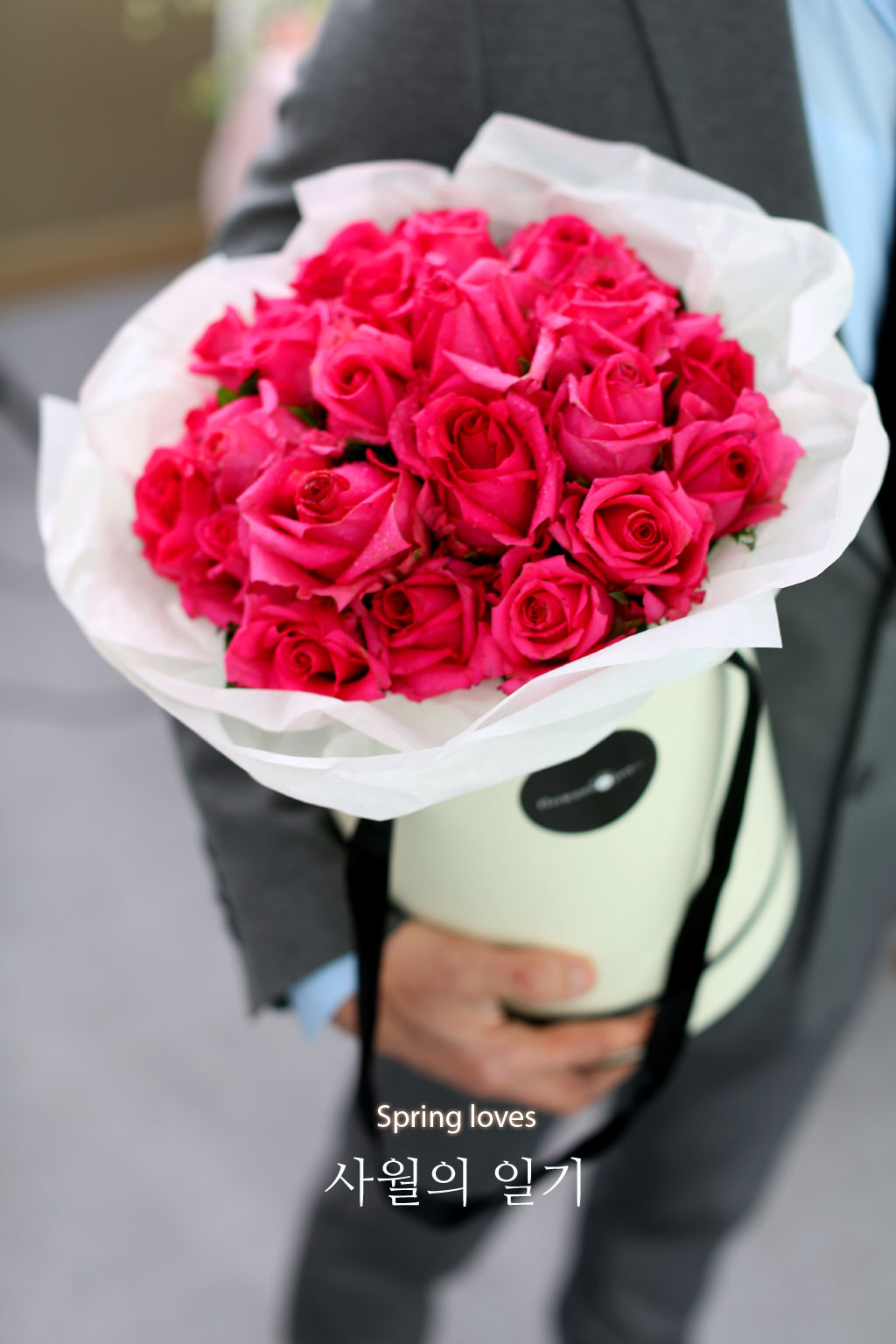 Spring loves  ϱ  ɹ