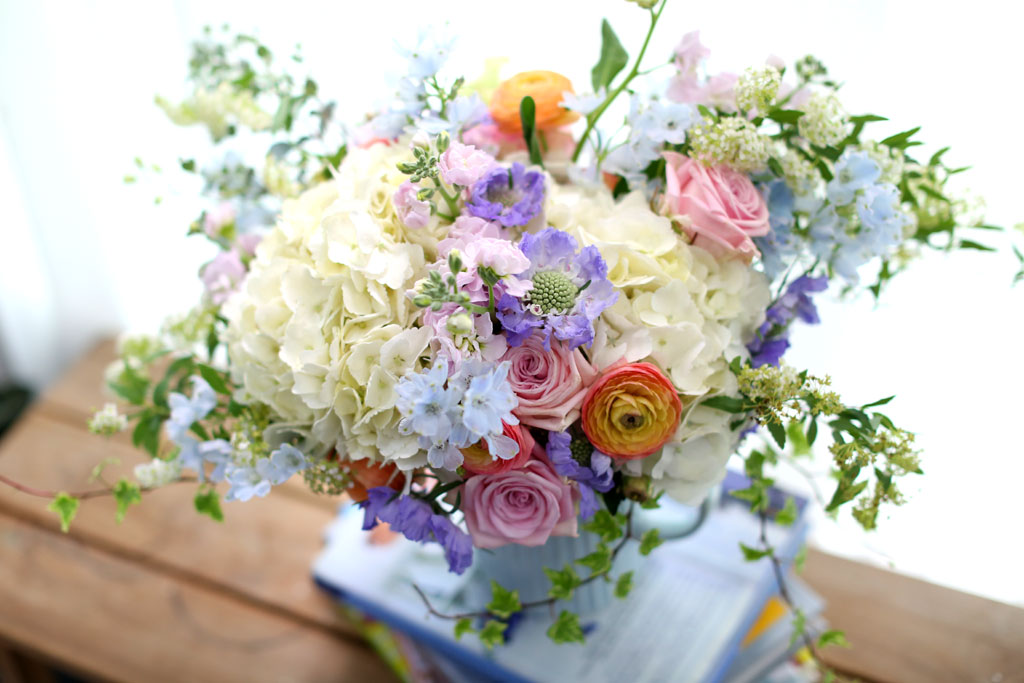 [ȭ  ] Spring loves YOU  ɹ