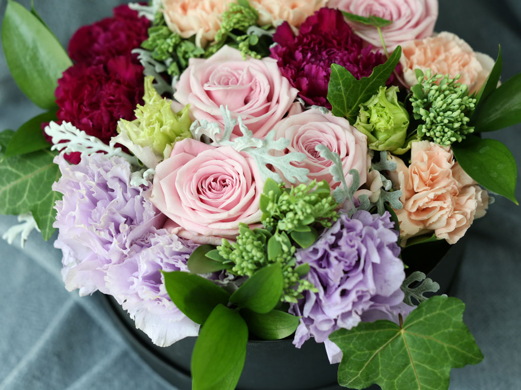 [   ] Spring loves ׸ ó  ɹ