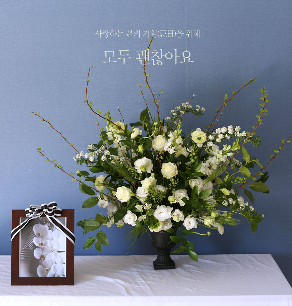 ����ϴ� ���� ������ ���� - �����ƿ� ���� �ɹ��