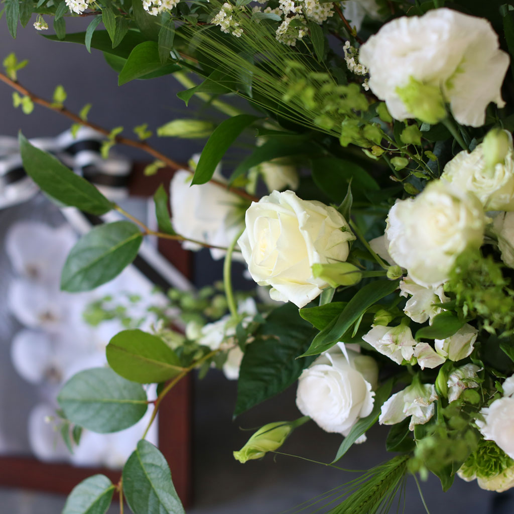 ����ϴ� ���� ������ ���� - �����ƿ� ���� �ɹ��