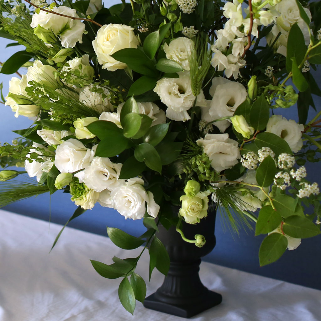 ����ϴ� ���� ������ ���� - �����ƿ� ���� �ɹ��