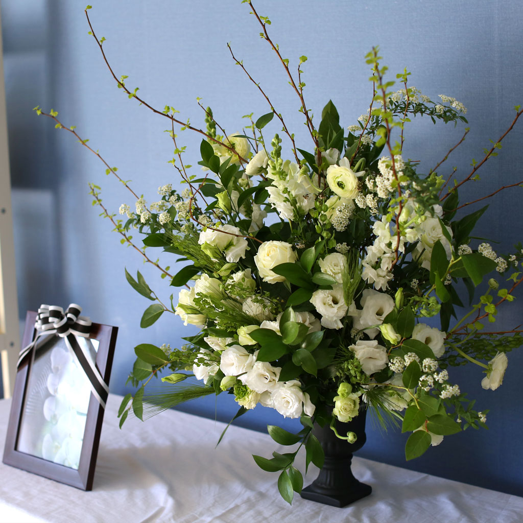 ����ϴ� ���� ������ ���� - �����ƿ� ���� �ɹ��