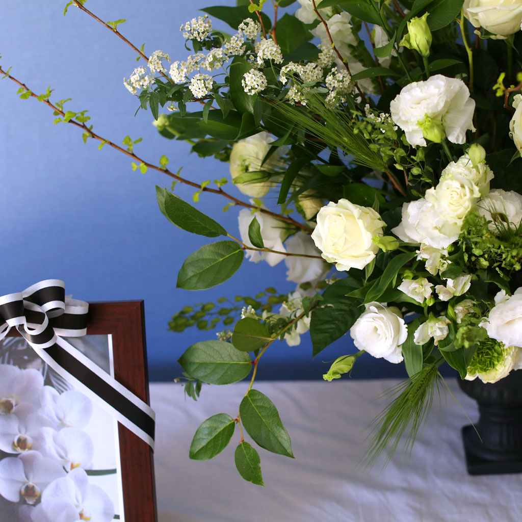 ����ϴ� ���� ������ ���� - �����ƿ� ���� �ɹ��