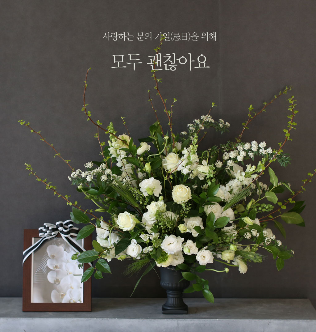 ����ϴ� ���� ������ ���� - �����ƿ� ���� �ɹ��