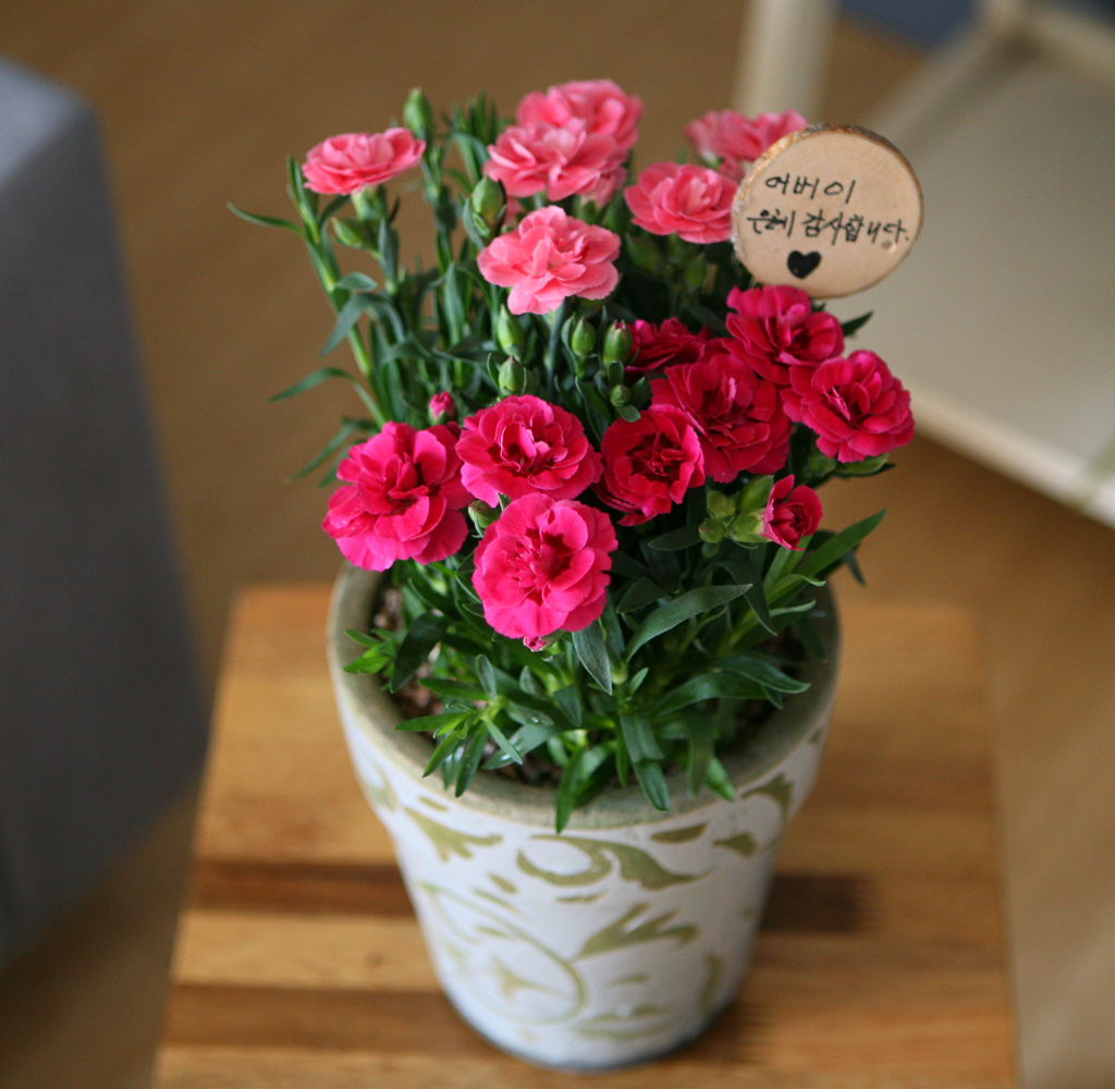 -  ī̼ ȭA(ǰ)***ɻ ٸ ***