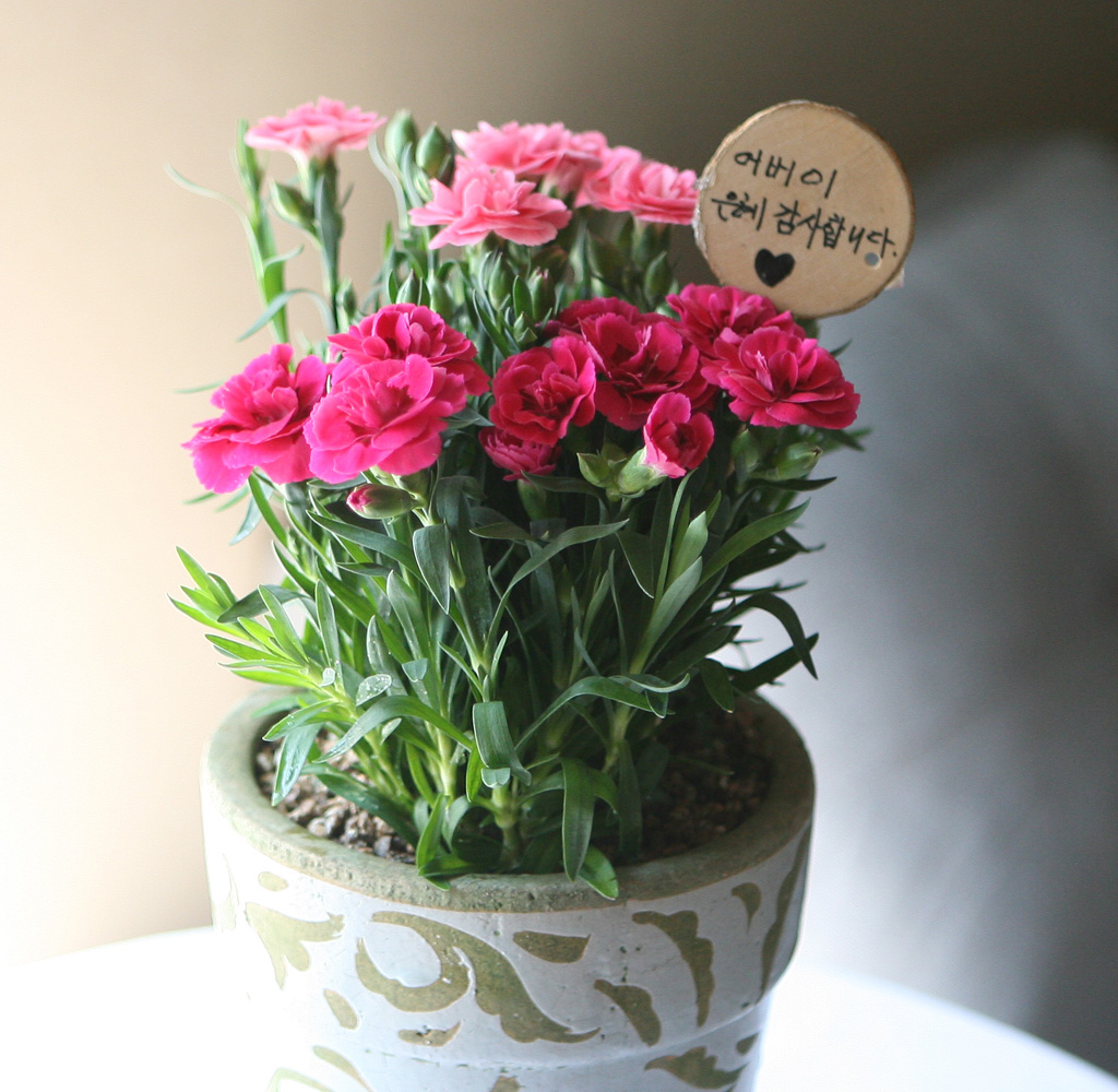 -  ī̼ ȭA(ǰ)***ɻ ٸ ***