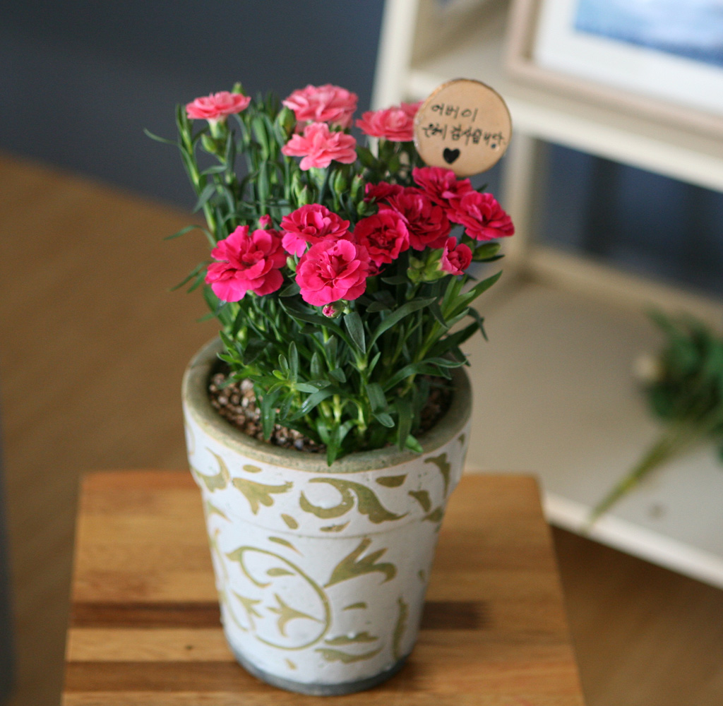 -  ī̼ ȭA(ǰ)***ɻ ٸ ***