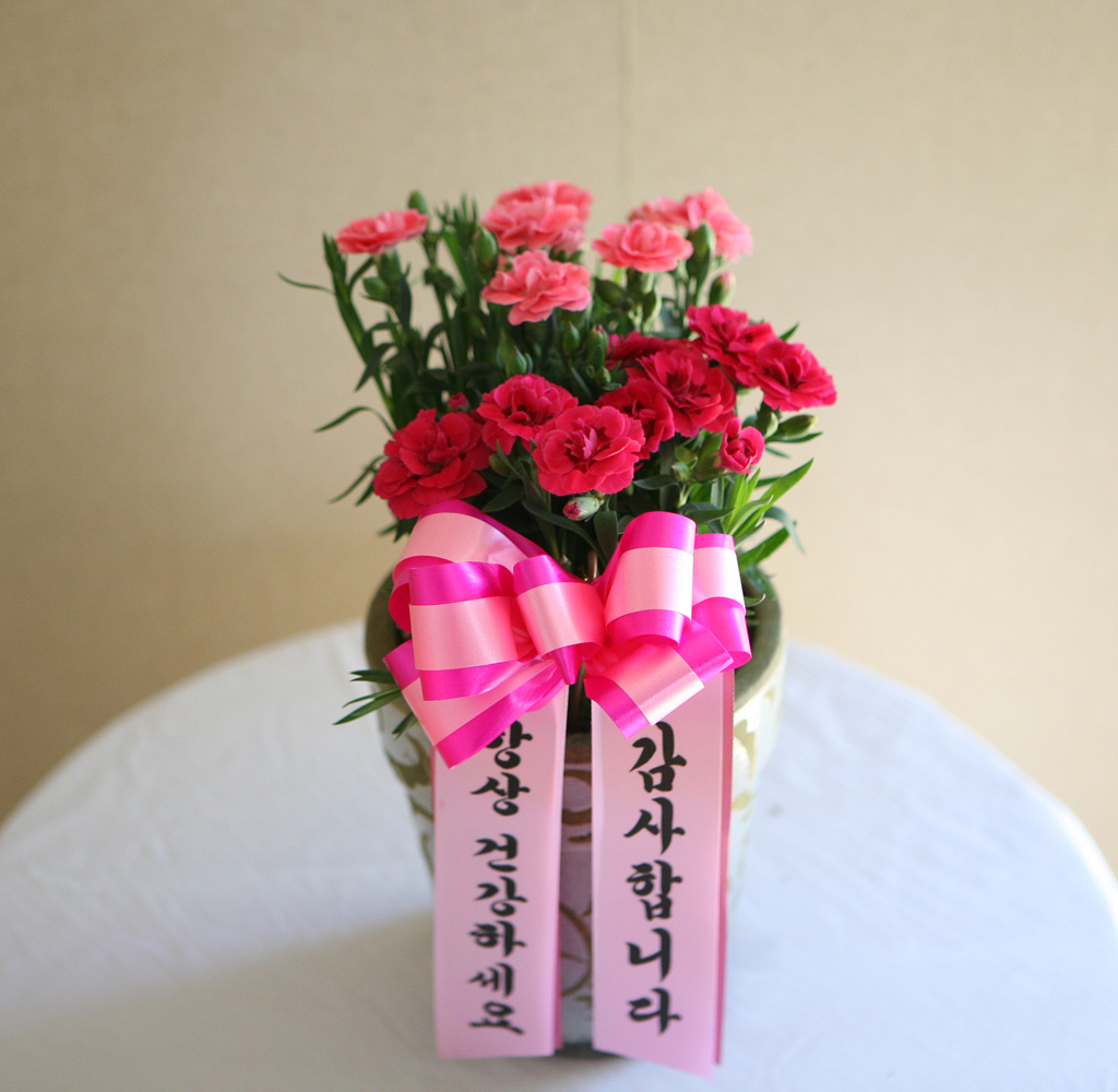 -  ī̼ ȭA(ǰ)***ɻ ٸ ***