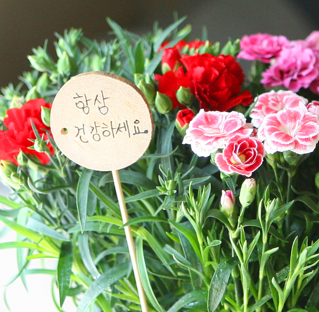 - ī̼ ȭB(ǰ) ***ɻ ٸ ***