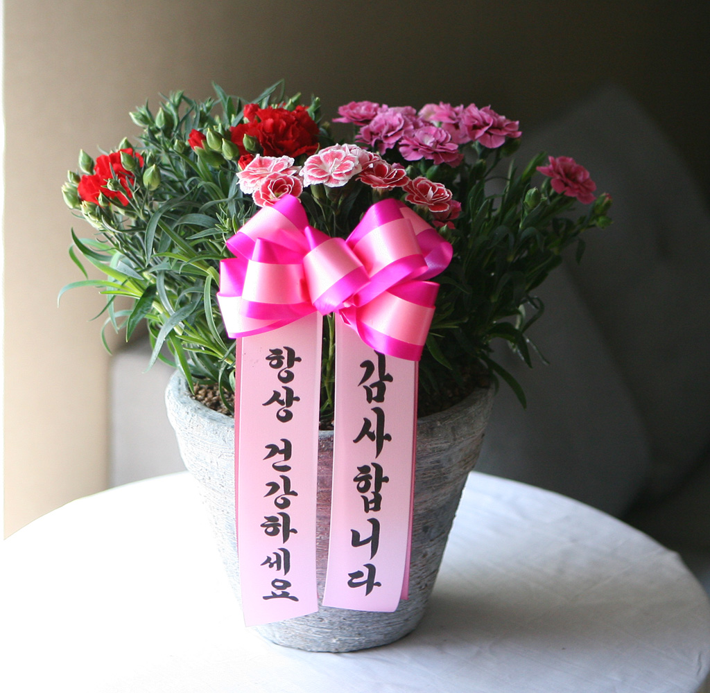 - ī̼ ȭB(ǰ) ***ɻ ٸ ***