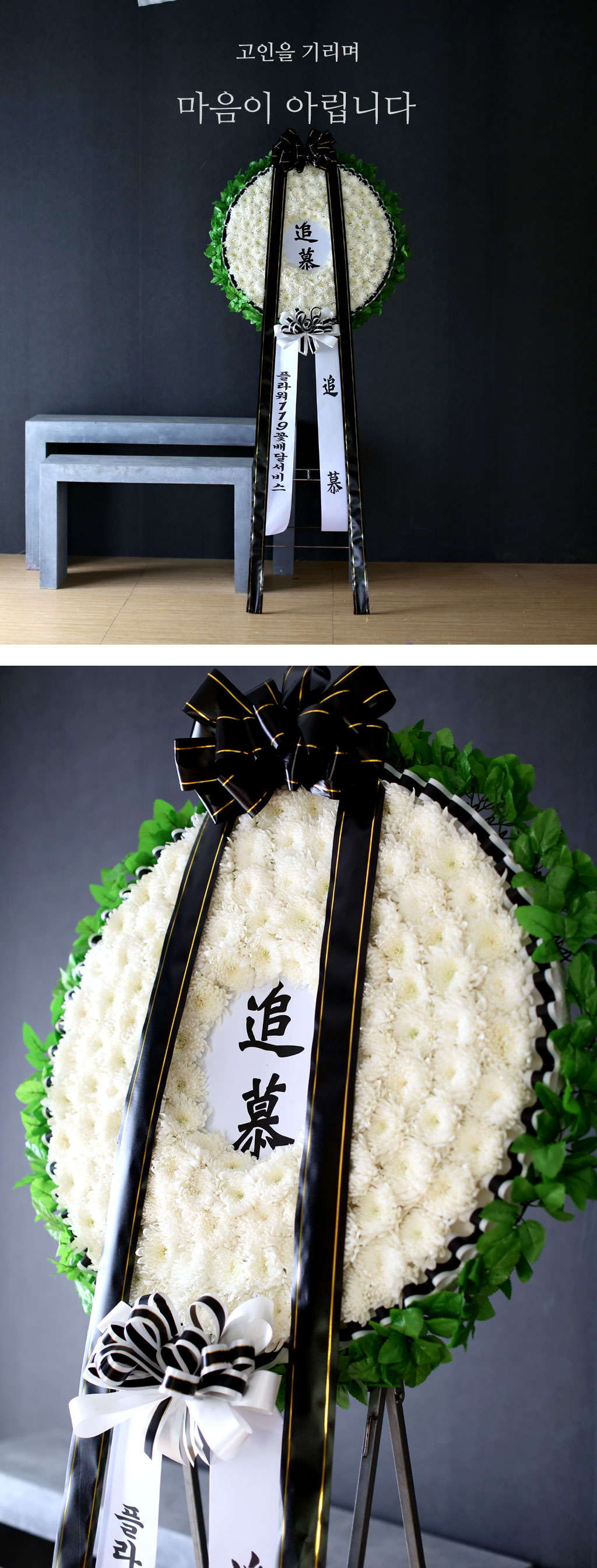 [ ȭȯ]  ⸮ -  Ƹϴ  ɹ