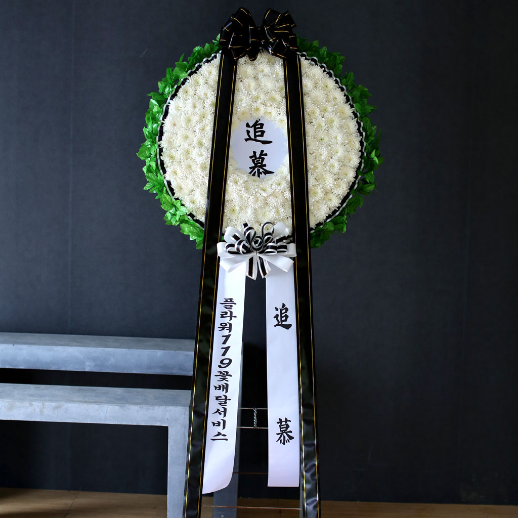 [ ȭȯ]  ⸮ -  Ƹϴ  ɹ