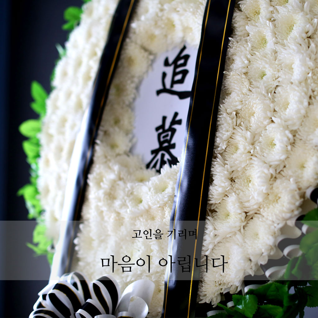 [ ȭȯ]  ⸮ -  Ƹϴ  ɹ