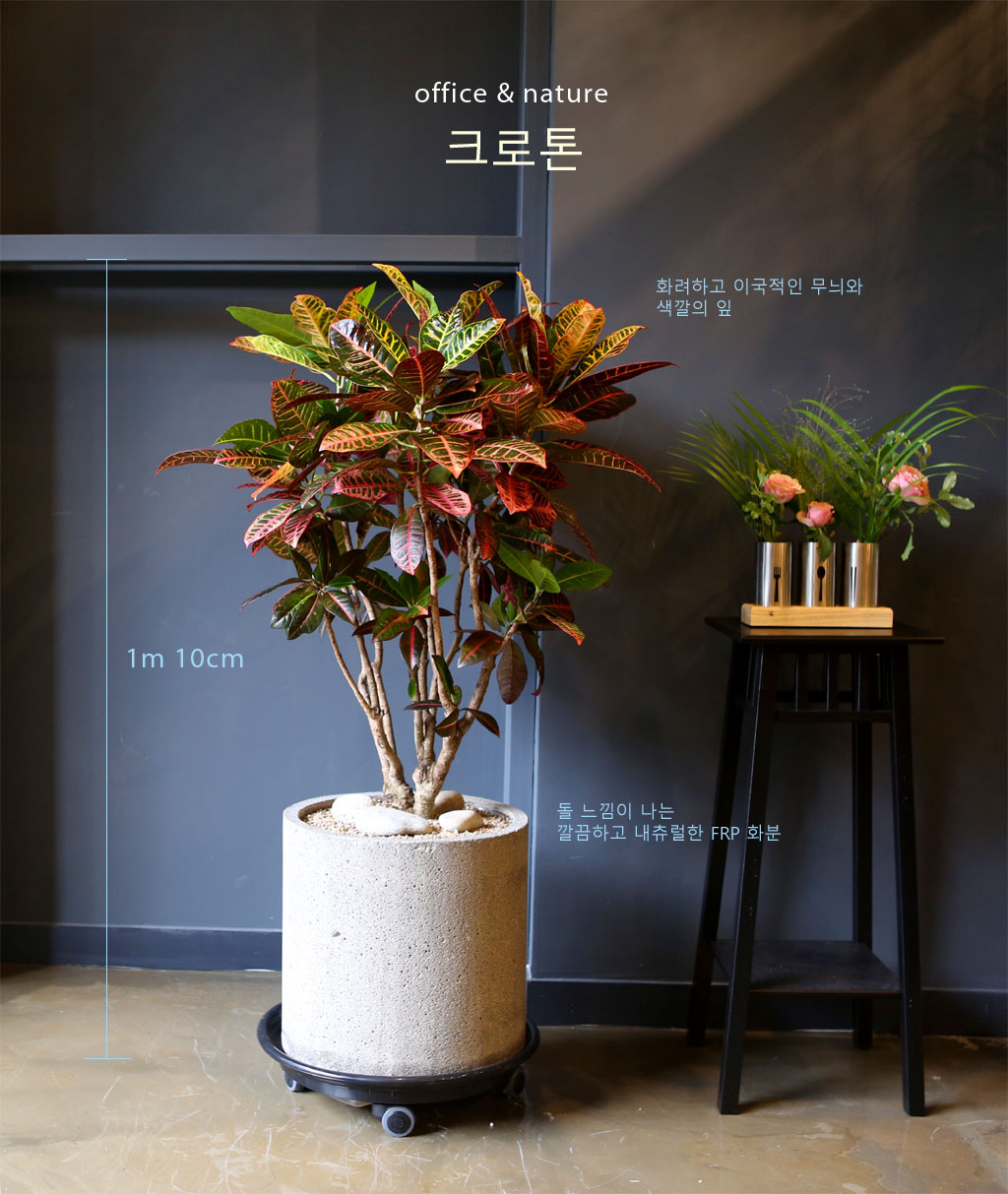 Office & nature Å©·ÎÅæ