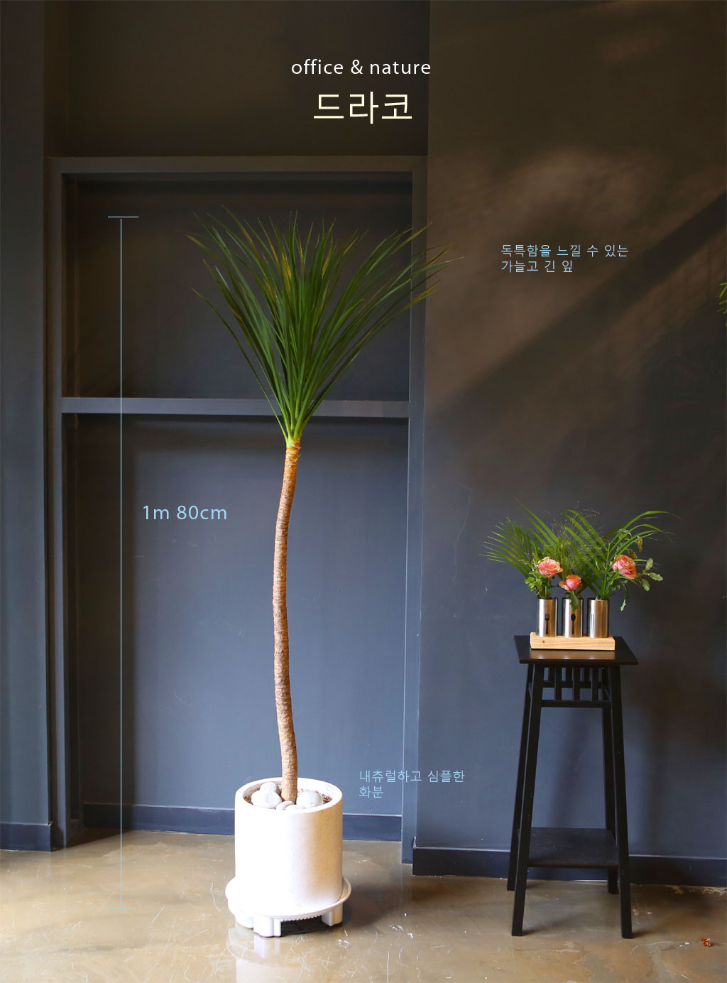 ¸é¿ª·ÂÀ» ±æ·¯ÁÖ´Â  µå¶óÄÚ(´ë) ²ÉÁý ²É¹è´Þ