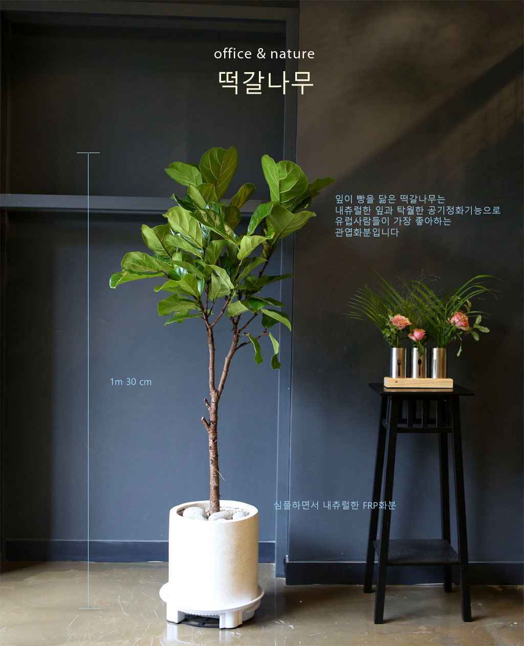 Office & nature ¶±°¥³ª¹«(Áß)