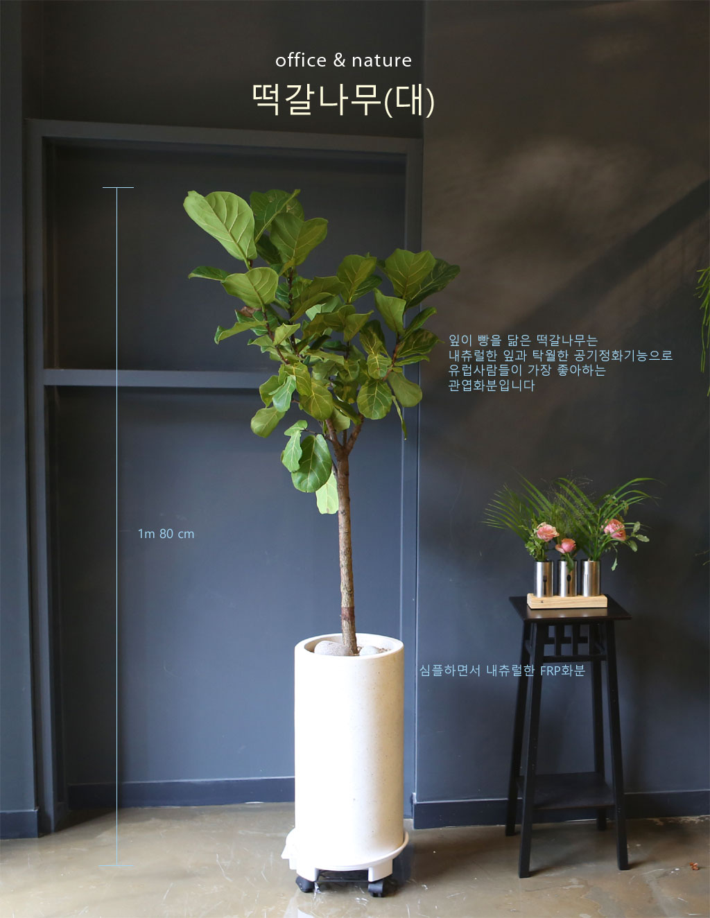 Office & nature ¶±°¥³ª¹«(´ë) ²ÉÁý ²É¹è´Þ