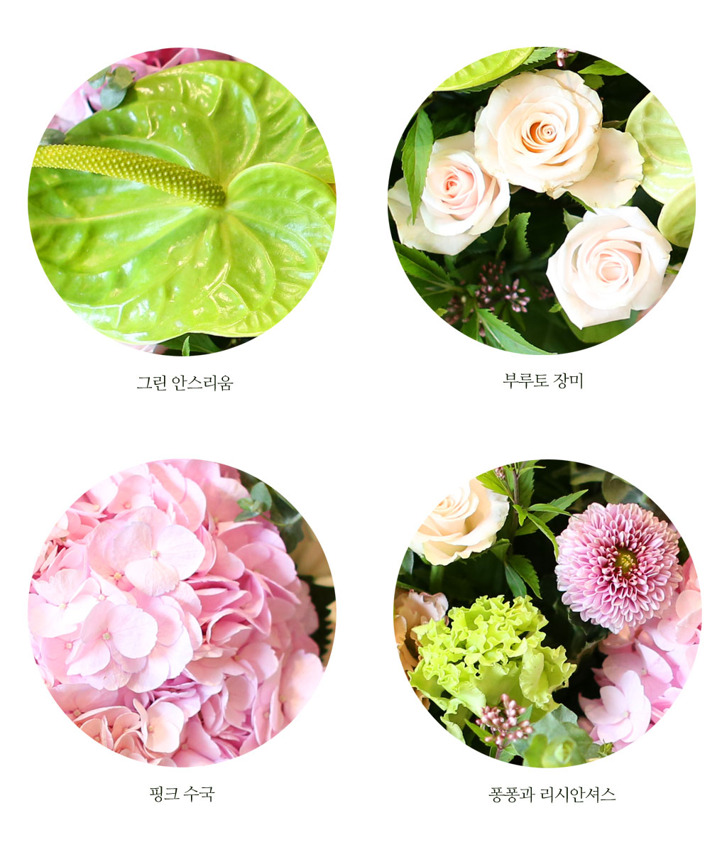 September love - dz¼ºÇÑ »ç¶ûÀ»