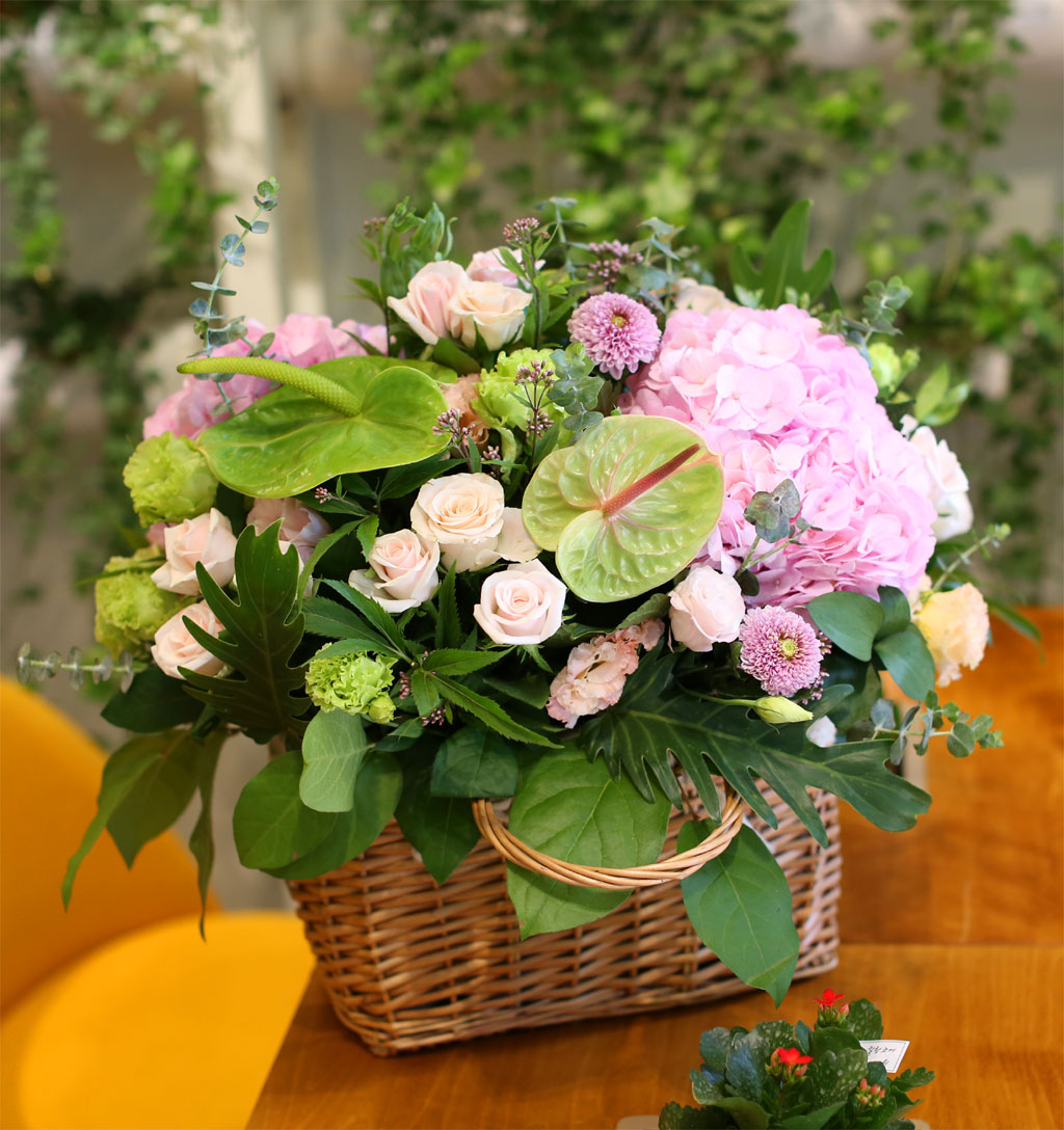 September love - dz¼ºÇÑ »ç¶ûÀ»