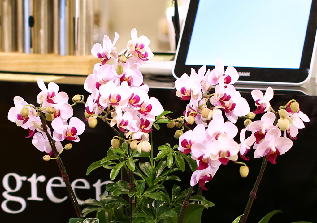 ¾Æ¸§´Ù¿òÀÌ ÀÖ´Â °ø°£ - ·çÄ¡¾Æ ÇÎÅ©