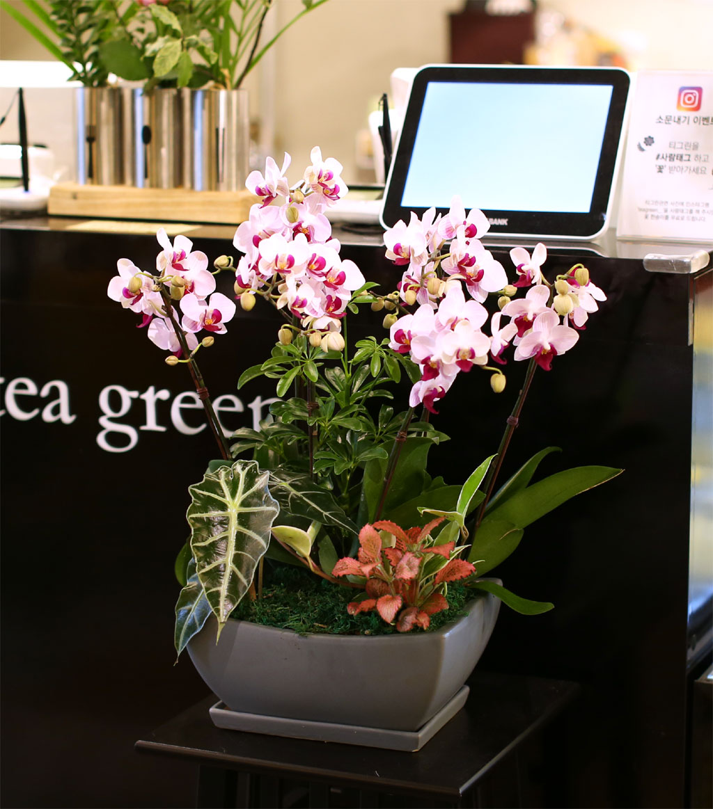 ¾Æ¸§´Ù¿òÀÌ ÀÖ´Â °ø°£ - ·çÄ¡¾Æ ÇÎÅ©